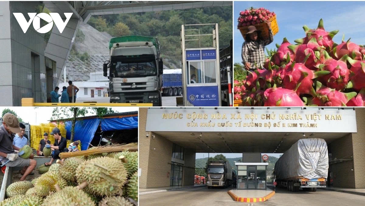 Vietnamese exports to China up 7.5% to US$35 billion in seven months